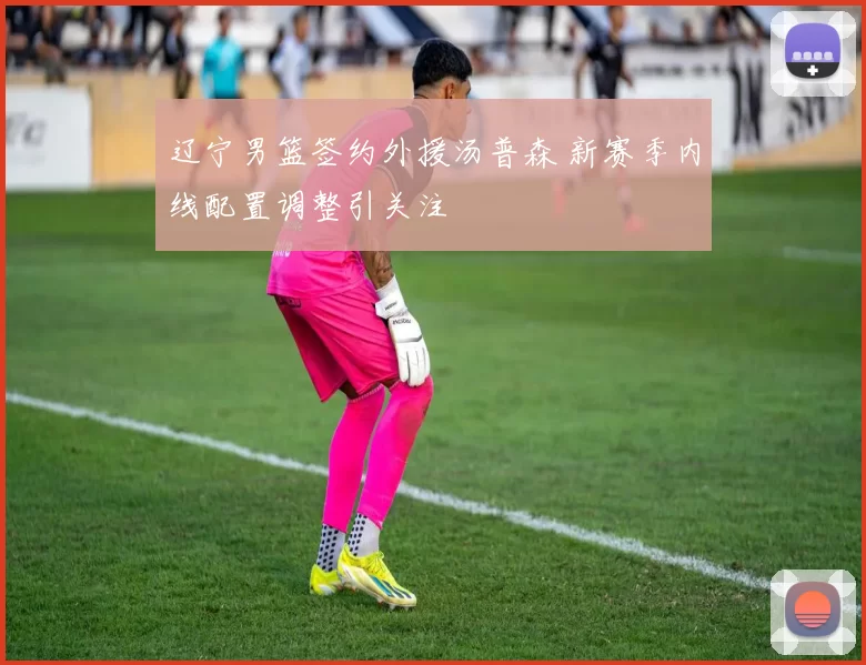 辽宁男篮签约外援汤普森 新赛季内线配置调整引关注