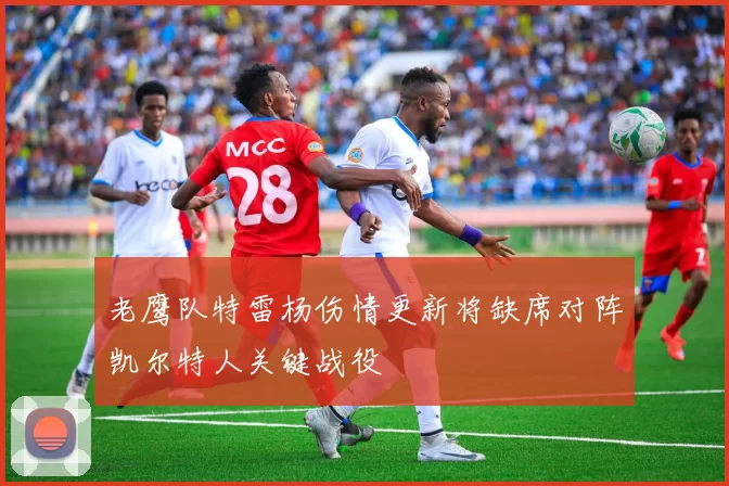 老鹰队特雷杨伤情更新将缺席对阵凯尔特人关键战役