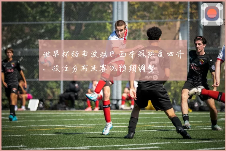 世界杯赔率波动巴西夺冠热度回升，投注分布及赛况预期调整